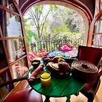 Gallery And Boutique Bnb In San Angel Inn