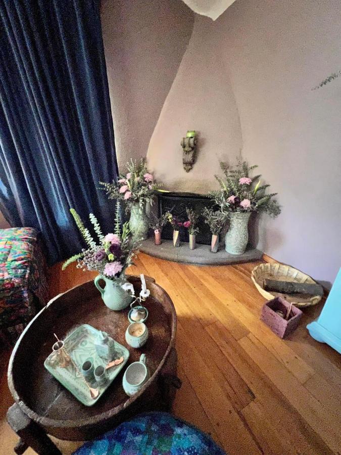 Gallery And Boutique In San Angel Bed & Breakfast