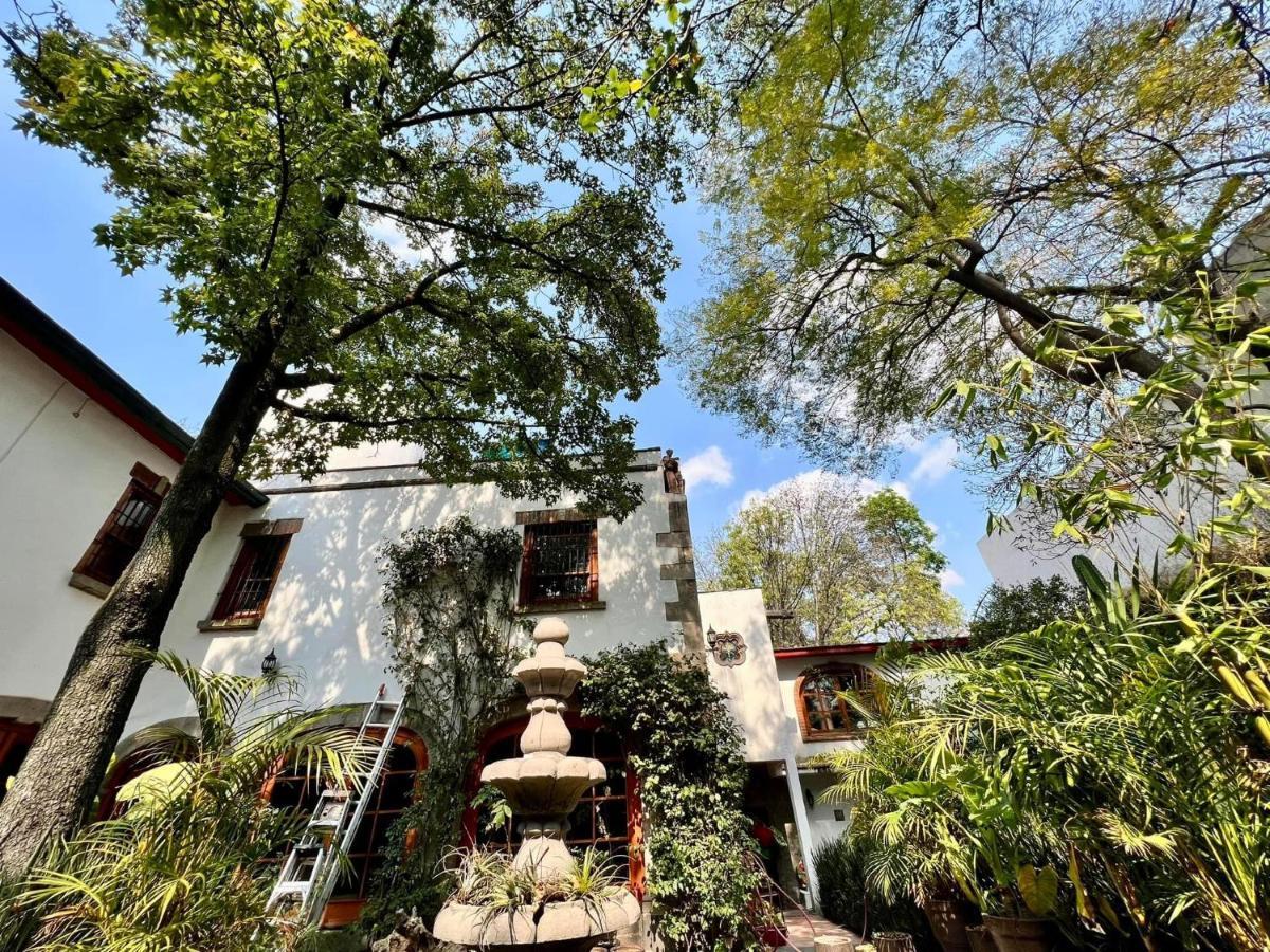 Gallery And Boutique In San Angel Mexico City