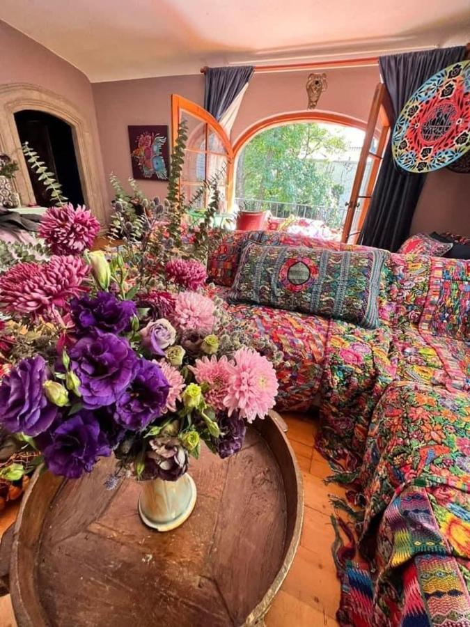 Gallery And Boutique In San Angel Bed & Breakfast