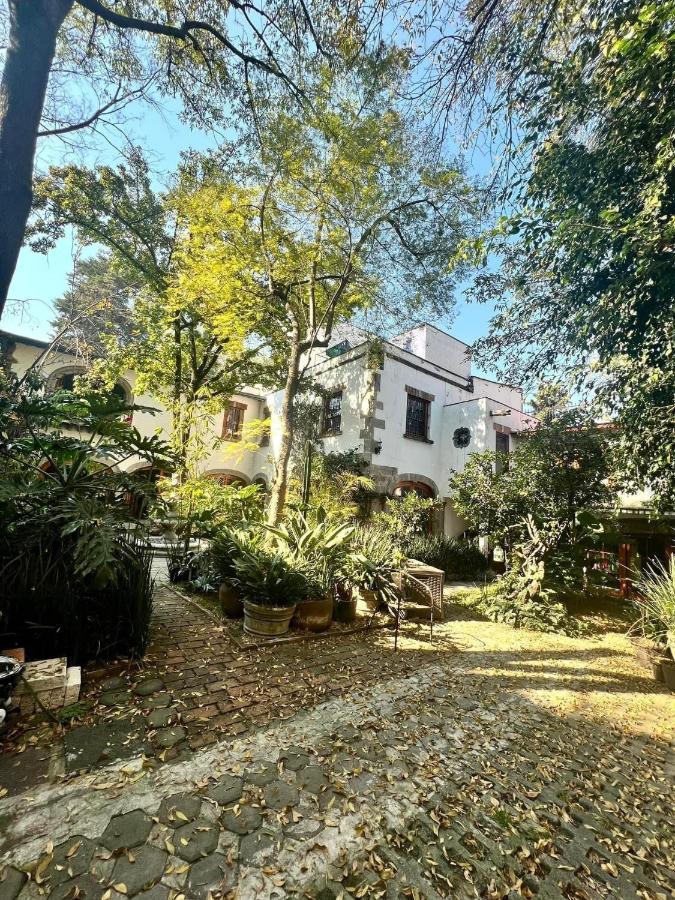 Gallery And Boutique In San Angel Bed & Breakfast