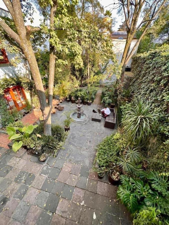Bed & Breakfast Gallery And Boutique In San Angel